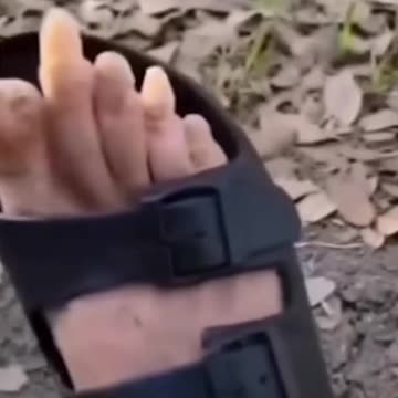 Funny shorts - Either VOLDEMORTS wand or a CLICKERS hand? 😂😂😂