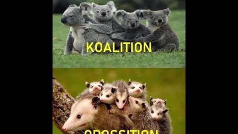 Random Memes 534