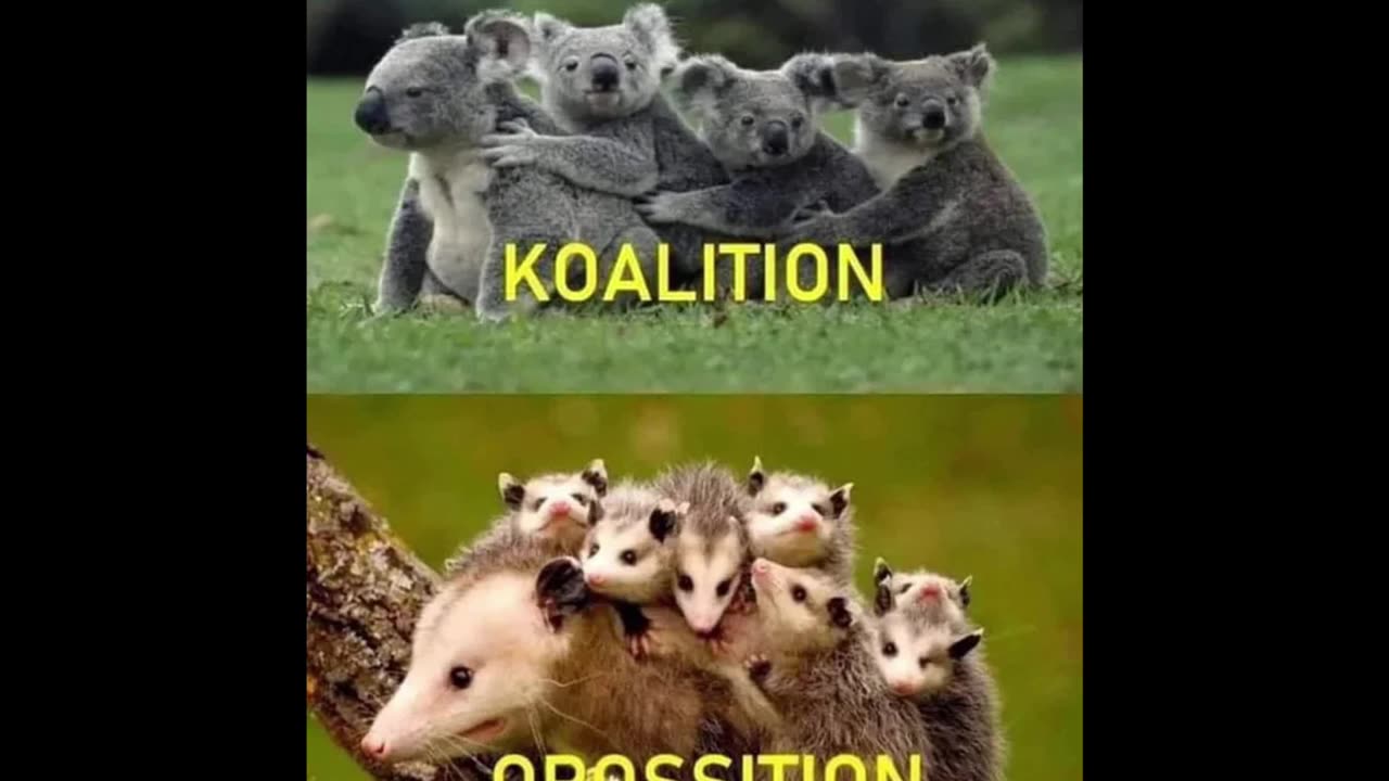 Random Memes 534