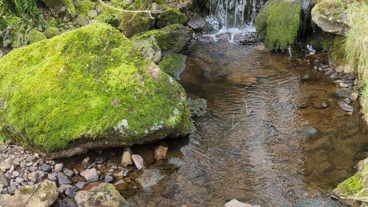 Waterfall near Spelga Dam , Northern Ireland