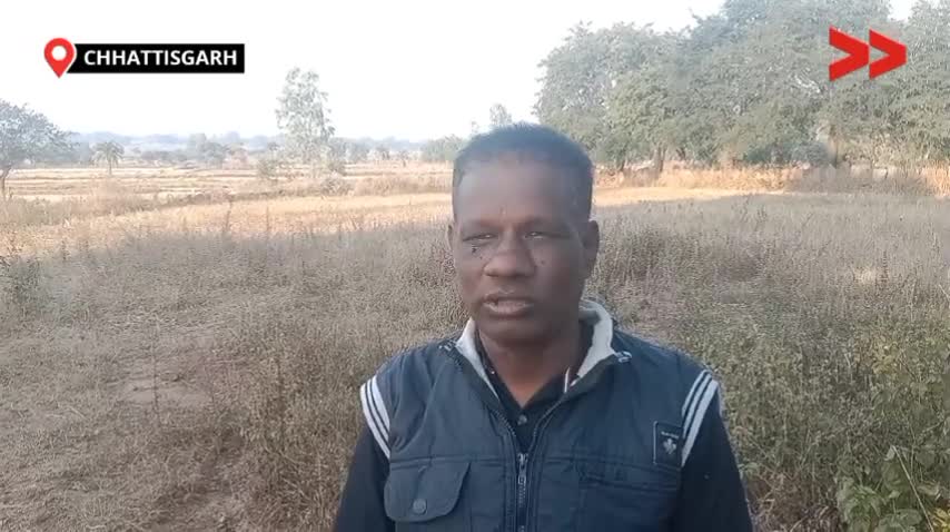 खेत से पानी लाने को मजबूर महिलाएं(1)