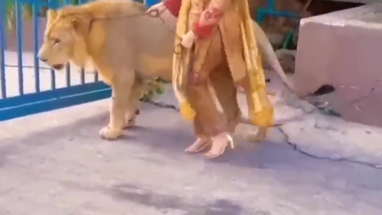 Pet Lion 😍Dubai Queen Women Lifestyle #habibi #dubaiprincess