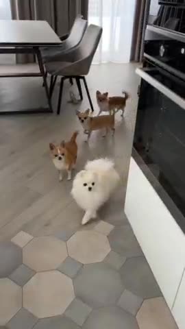 And what is there to eat