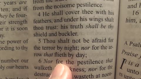 528. The Arm and the Hand of God