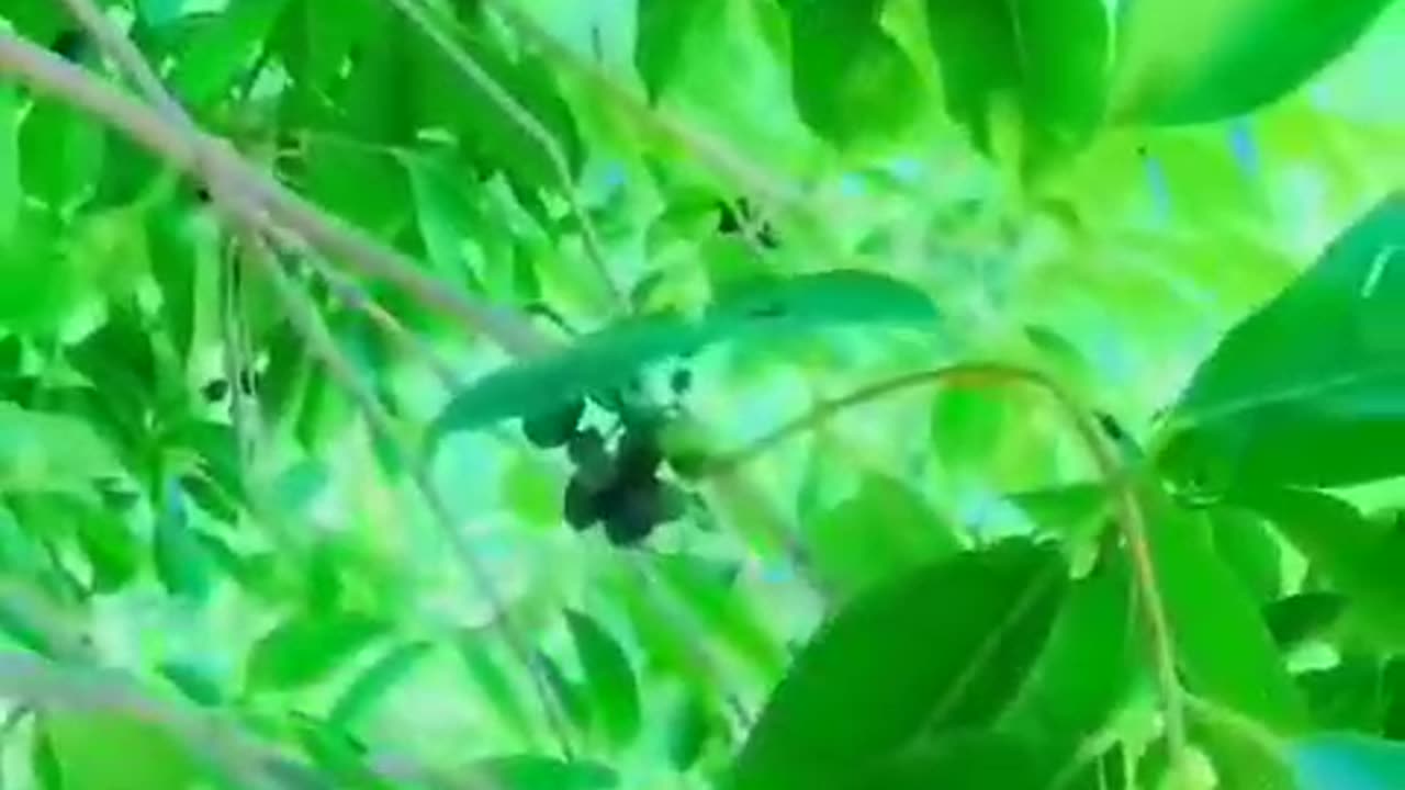 Nature Love 💕