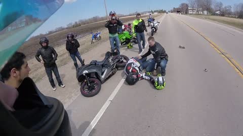 Motorcycle vs Dog