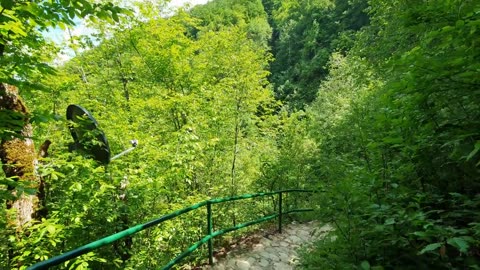 Stopic Cave-Serbia