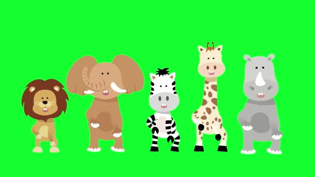 Animation animals dancing green background