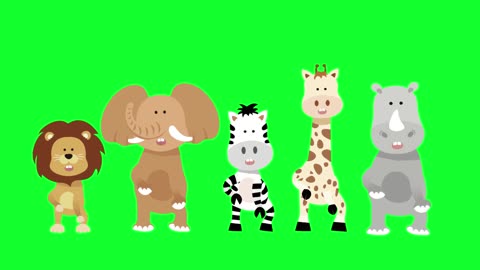 Animation animals dancing green background