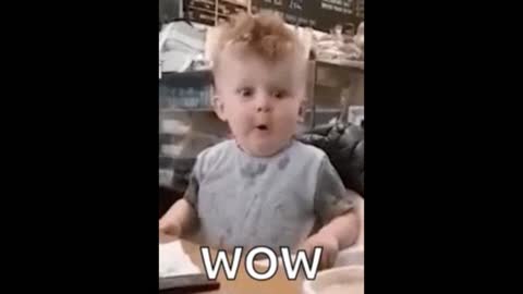 Voter Fraud 2022 Midterms