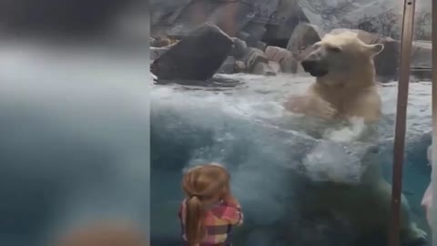 Cute Ice Bear Tries To Attack Child