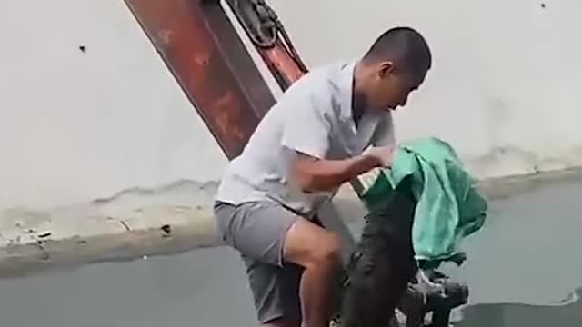 Using Heavy Machinery to Rescue a Dog