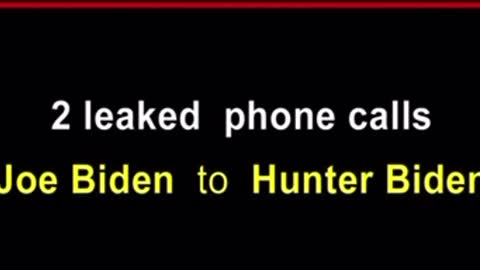 2 Leaked phone Calls: Joe Biden to Hunter Biden.