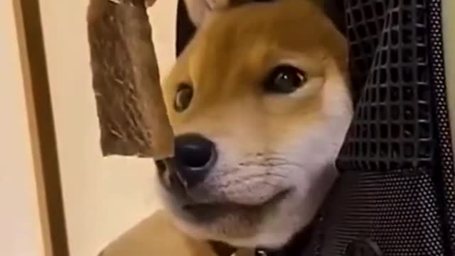 Food. Before. Sleep.