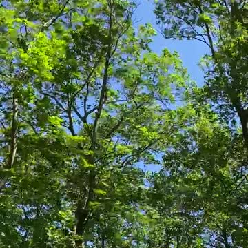 MESMERIZING AND TERRIFYING WINDSTORM