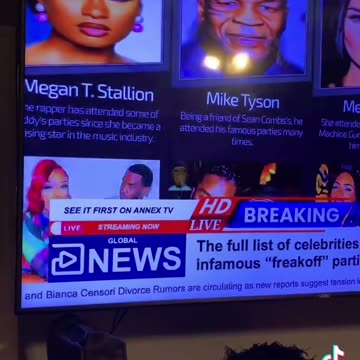 The Pedo Diddy Celebrity Freak-Off Party Attendees (read description)