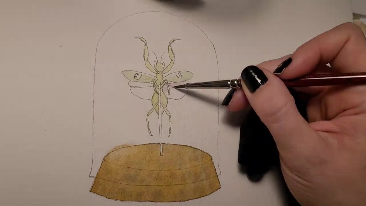 Speed paint of a Jewel Mantis in a Jar