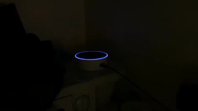 Echo Dot Pikachu talk