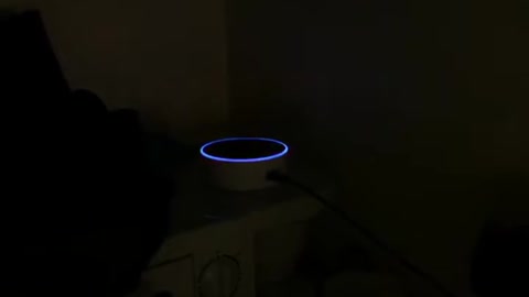 Echo Dot Pikachu talk