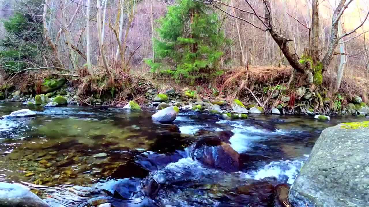 Relaxing River Sounds - Peaceful Forest - Relax, sleep, study, meditate