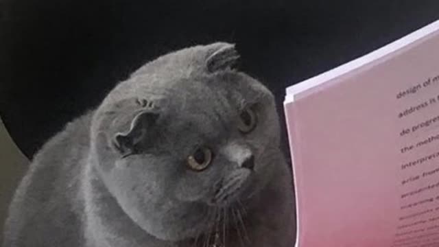 Comment song suggestions