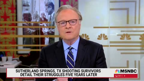 MSNBC Host Suggests It's Unreasonable To Expect Cops To Run Towards Gunfire