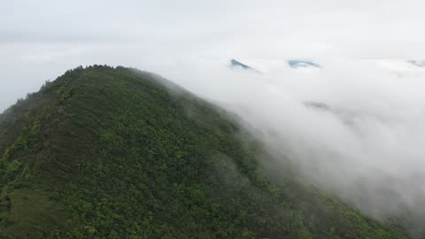 Mountain Majesty: A Journey Above the Clouds