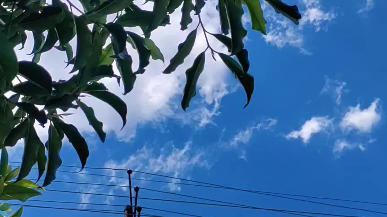 Feel natural Music