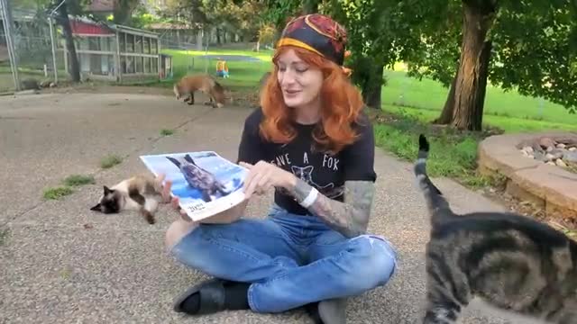 Will you vote for SAVEAFOX?