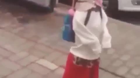 A dog that walks upright