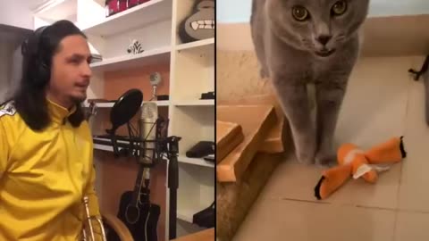 The Kiffness X Alugalug Cat 2.0 (Please Go Away)