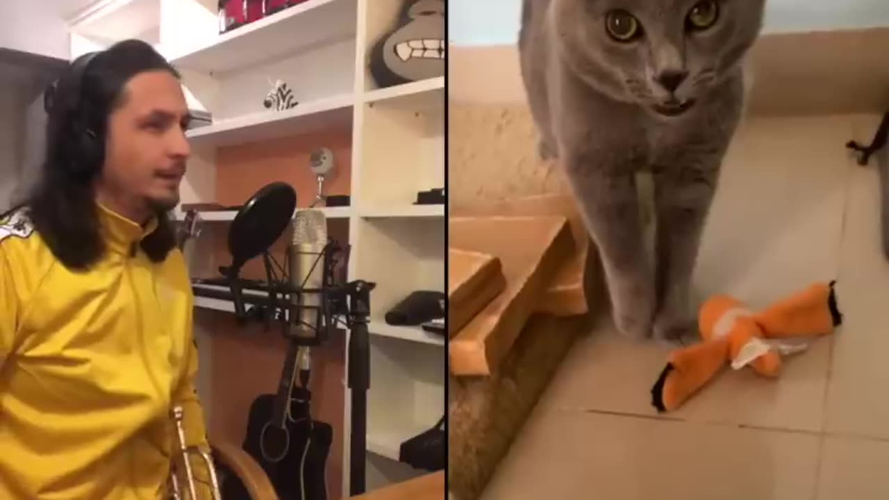 The Kiffness X Alugalug Cat 2.0 (Please Go Away)