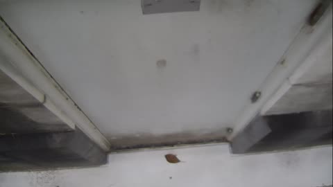 0921USCG00HT18Exterior_2021-01-06_09h00min01s627ms.mp4