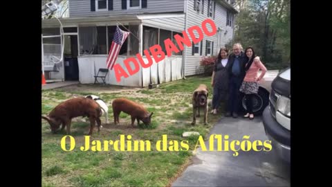 Teaser do Documentário “Adubando o Jardim das Aflições”