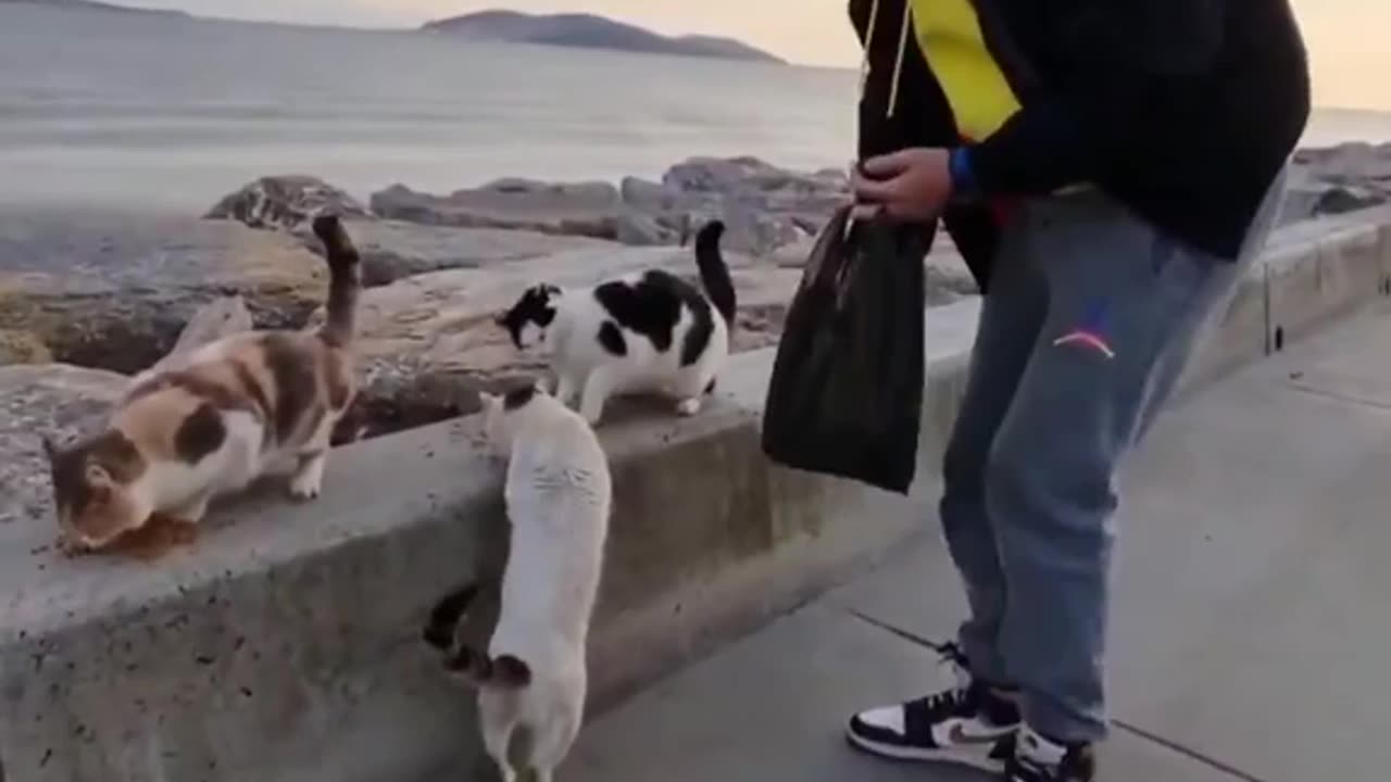 They found a good human