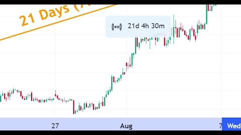 Voltas Share Review on 2023 July 19