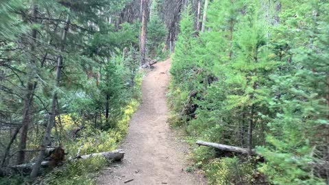 Eastern Oregon – Malheur National Forest is an Undiscovered Gem