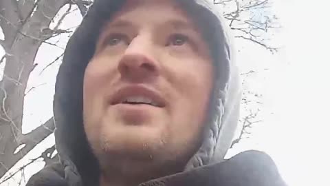 alpha male vs beta male. what are you.