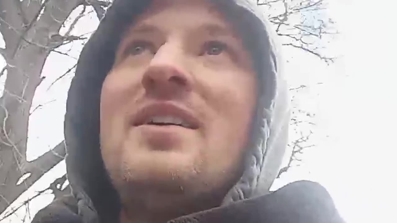 alpha male vs beta male. what are you.