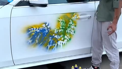 Amazing Van Color Effect Funny Video