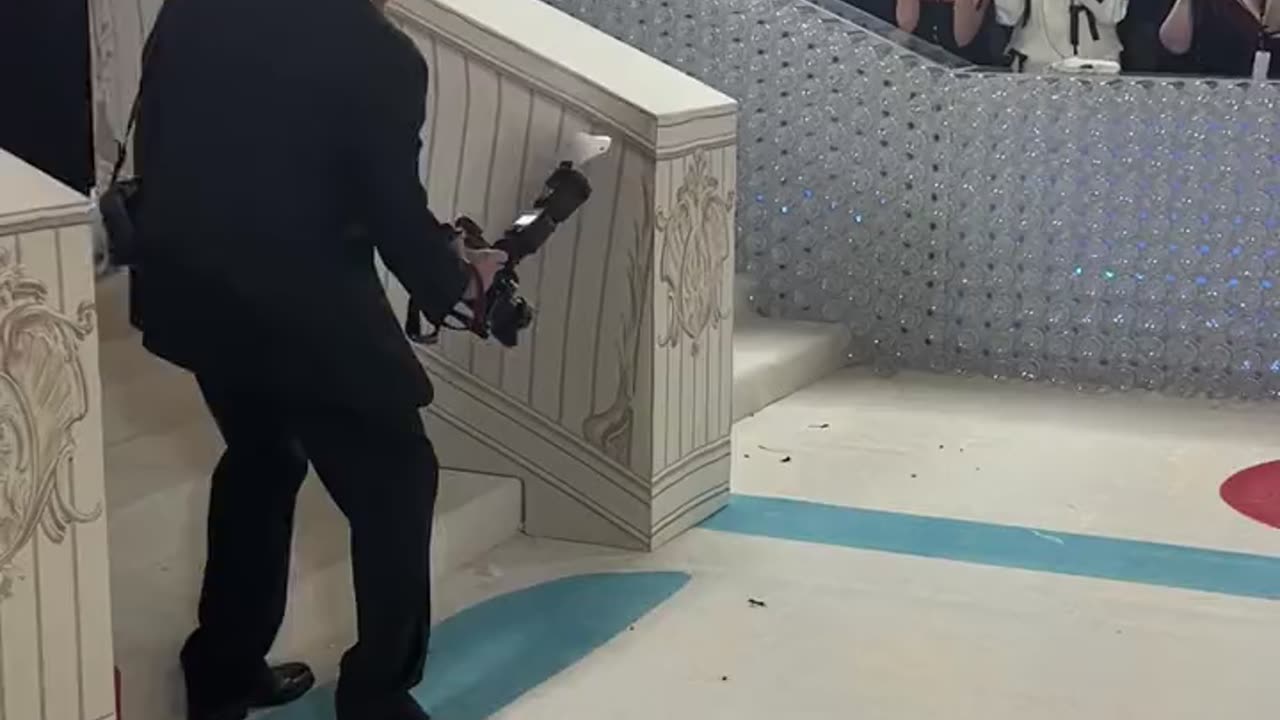 A cockroach 🪳 slays at the met gala red carpet