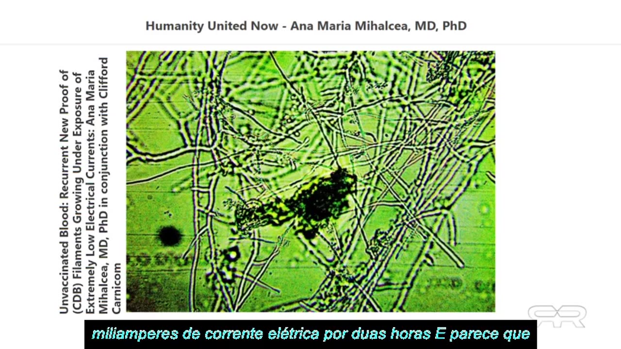 Nanotecnologia encontrada em Vaxed e em Unvaxed