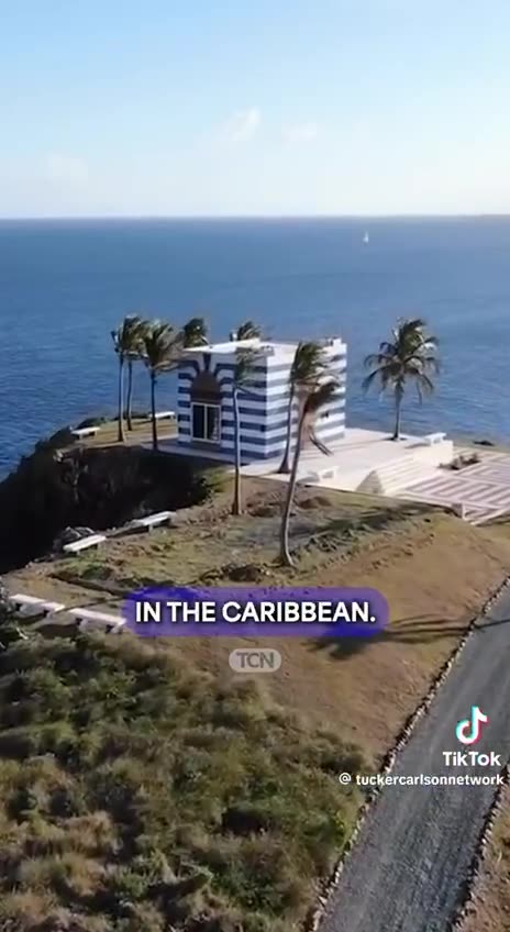 #Epstiendidntkillhimself NCSWIC EPSTEIN STILL ALIVE BTW