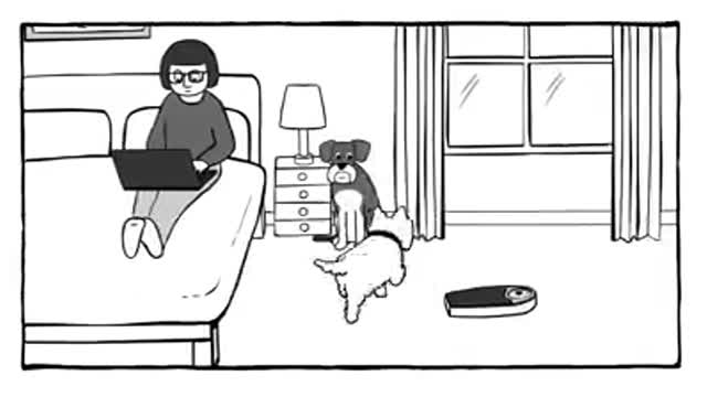 Evil Dog?