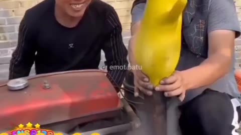 Funny Videos 🤣🤣🤣