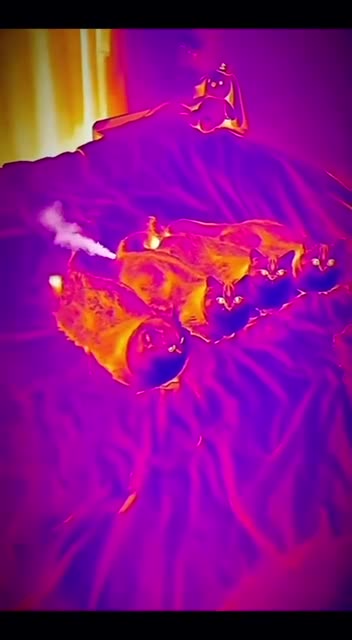 Thermal cameras and flatulence 🤣