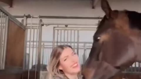 horse horny