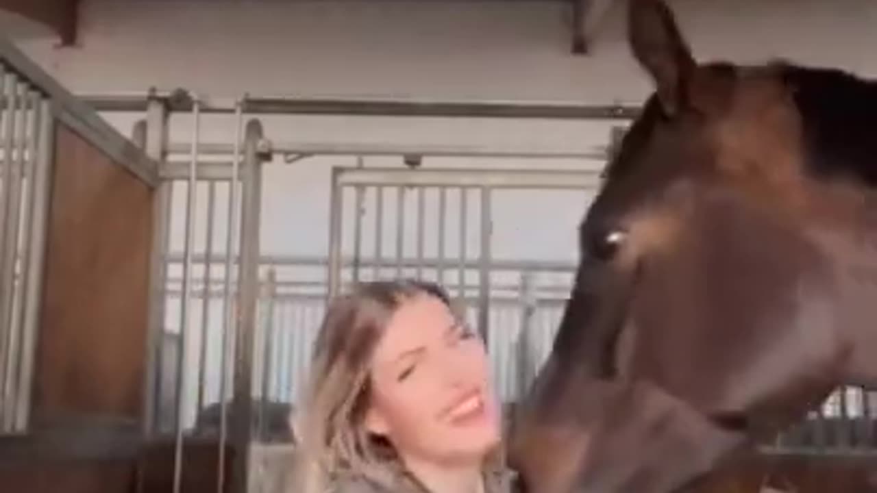 horse horny