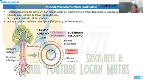 ANUAL ADUNI 2023 | Semana 21 | Biología S1 | RV | Química S1