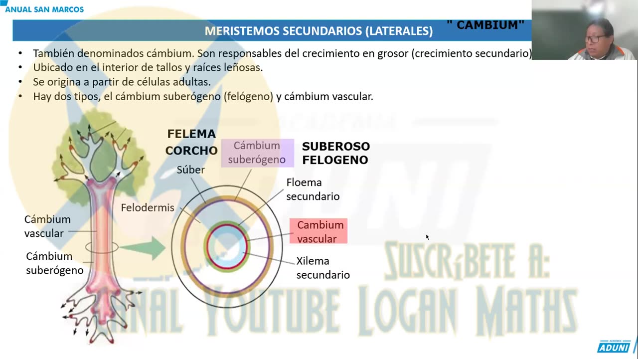 ANUAL ADUNI 2023 | Semana 21 | Biología S1 | RV | Química S1
